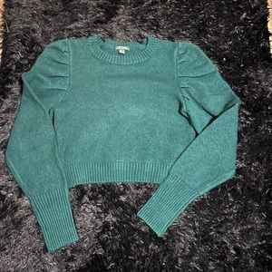 Wild fable dark green sweater